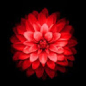 Meet your Posher, Eldee